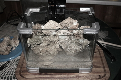 Killikus&reg; Fotographie